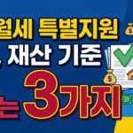 청년월세 특별지원 소득 기준과 재산 기준, 탈락 피하는 3가지 핵심 설명 이미지